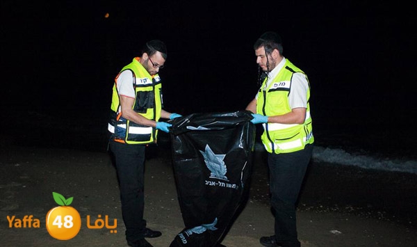 3aregmontreeh520 (16).jpg